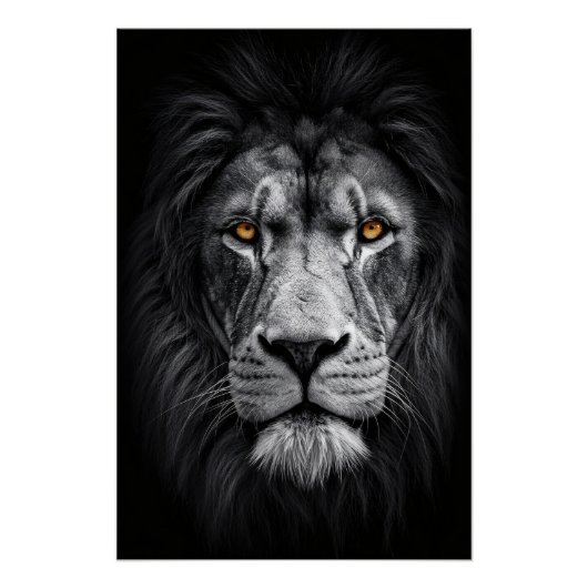 Der Blick des Königs Poster (Vorderseite)