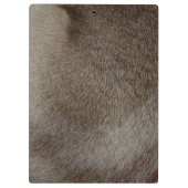 Der Blick des luxuriösen Siegel-Punkt-siamesische Klemmbrett (Rückseite)