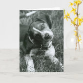 Der Blick Karte (Gelbe Blume)