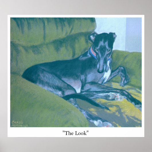 Der Blick Poster (Vorne)