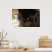 Der Blick Poster (Küche)