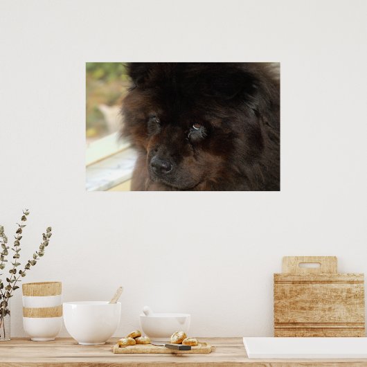 Der Blick Poster (Küche)