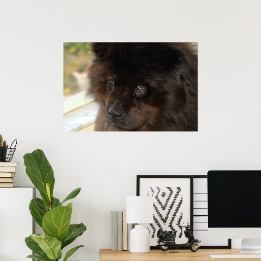 Der Blick Poster (Heimbüro)