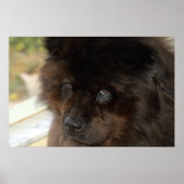 Der Blick Poster (Vorne)