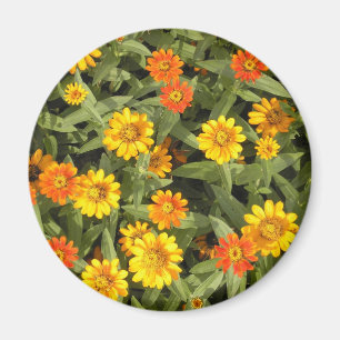 Der Blumenstrauß der Natur: Fallmagnet Magnet