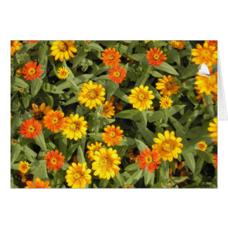 Der Blumenstrauß-Reihe der Natur (Fall)