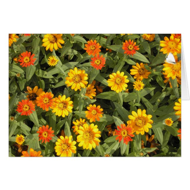 Der Blumenstrauß-Reihe der Natur (Fall) (Vorderseite (Horizontal))