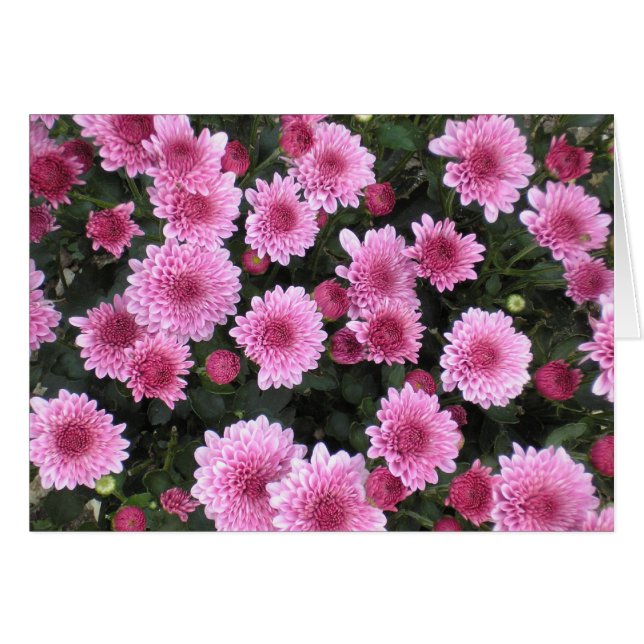 Der Blumenstrauß-Reihe der Natur (Frühling) (Vorderseite (Horizontal))