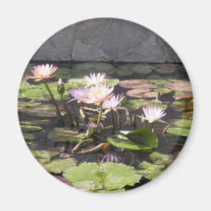 Der Blumenstrauß-Reihe der Natur: Sommermagnet Magnet