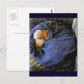 Der Bo-Ball Postkarte (Vorne/Hinten)