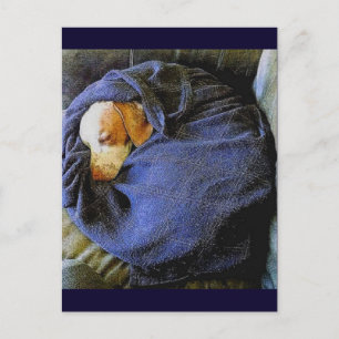 Der Bo-Ball Postkarte