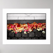 DER BODEN, DEN SIE AUF DEM Poster GELADEN HABEN (Vorne)