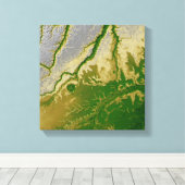 Der bolivianische Amazonas Leinwanddruck (Insitu (Holzboden))