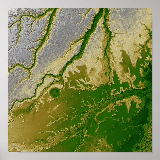 Der bolivianische Amazonas Poster (Vorne)