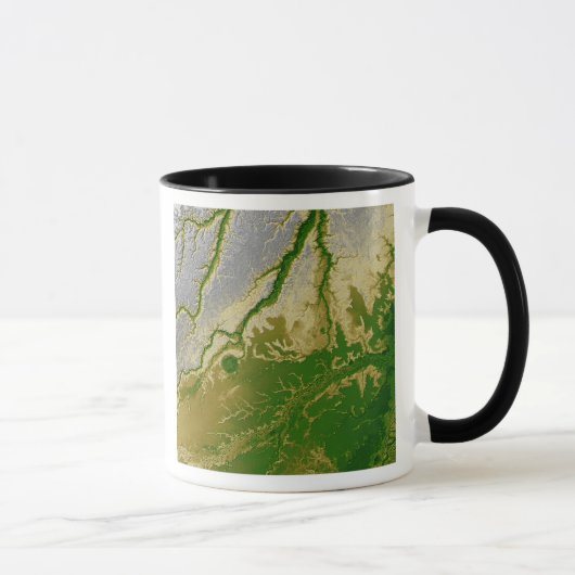 Der bolivianische Amazonas Tasse (Rechts)