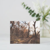 "Der Bosque-Chor" Postkarte (Stehend Vorderseite)