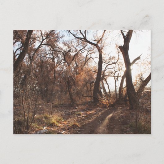 "Der Bosque-Chor" Postkarte (Vorderseite)