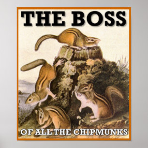 Der Boss aller Chipkarten-Poster-Zeichen Poster