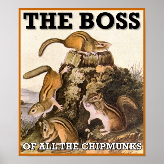 Der Boss aller Chipkarten-Poster-Zeichen Poster (Vorne)