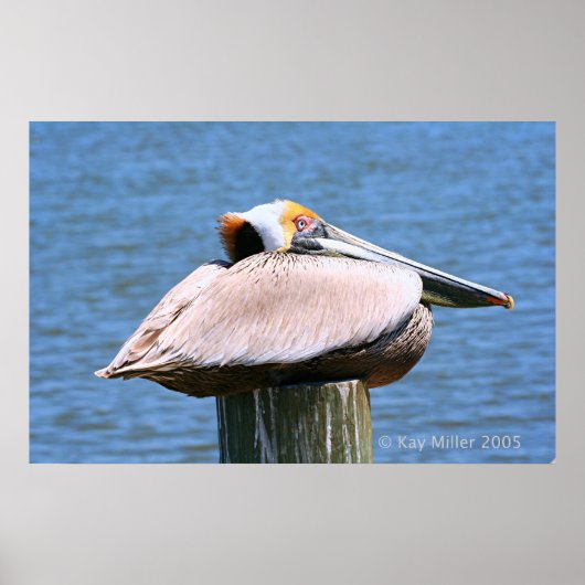 Der Boss Poster (Vorne)