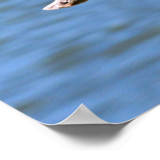 Der Boss Poster (Ecke)