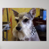 Der Boss Poster (Vorne)