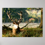 Der Boss Poster (Vorne)