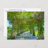 Der Botanische Garten der Königin Neapel, Florida Postkarte (Vorne/Hinten)