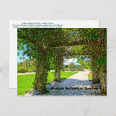 Der Botanische Garten der Königin Neapel, Florida Postkarte (Vorne/Hinten)
