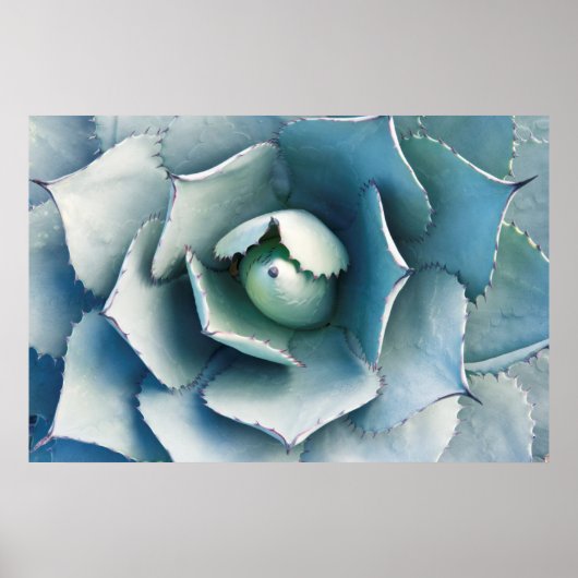Der botanische Garten von Huntington Poster (Vorne)