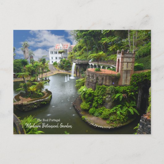 Der Botanische Garten von Madeira, das echte Portu Postkarte (Vorderseite)