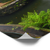 Der Botanische Garten von Real Portugal - Madeira Poster (Ecke)