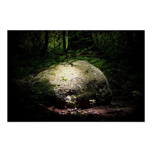 Der Boulder im Wald Poster (Vorderseite)