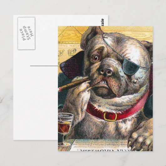Der Bouncer Dog Postkarte (Vorne/Hinten)