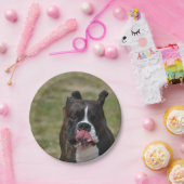 Der Boxer-Hund, der seins leckt, hackt Pappteller (Party)