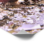 Der Boxer Poster (Ecke)