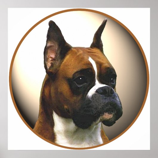 Der Boxerdog Poster (Vorne)