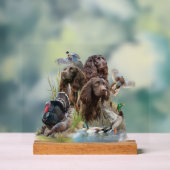 Der Boykin Spaniel Acrylschild (Neutral)