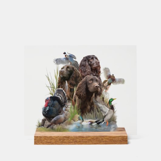 Der Boykin Spaniel Acrylschild (Vorderseite)