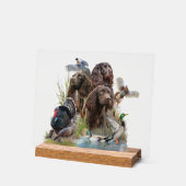 Der Boykin Spaniel Acrylschild (Winkel)