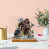 Der Boykin Spaniel Acrylschild (Hochzeit)