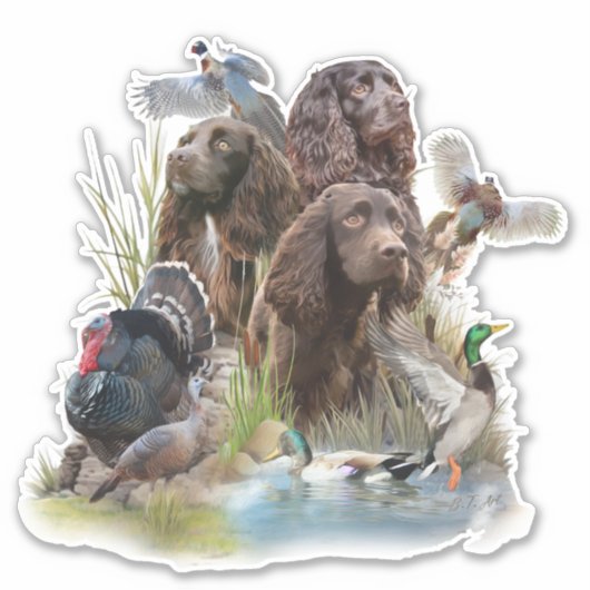 Der Boykin Spaniel Aufkleber (Vorderseite)