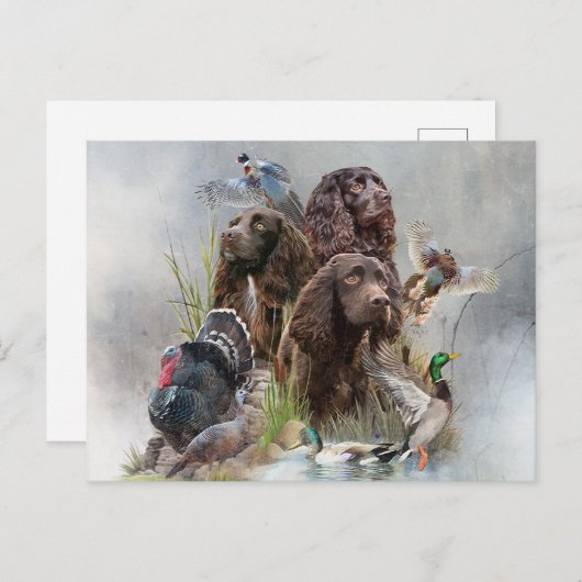 Der Boykin Spaniel Feiertagspostkarte (Vorne/Hinten)