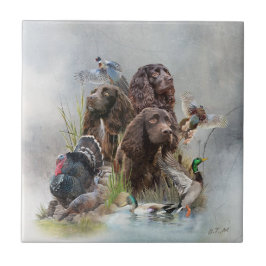 Der Boykin Spaniel Fliese