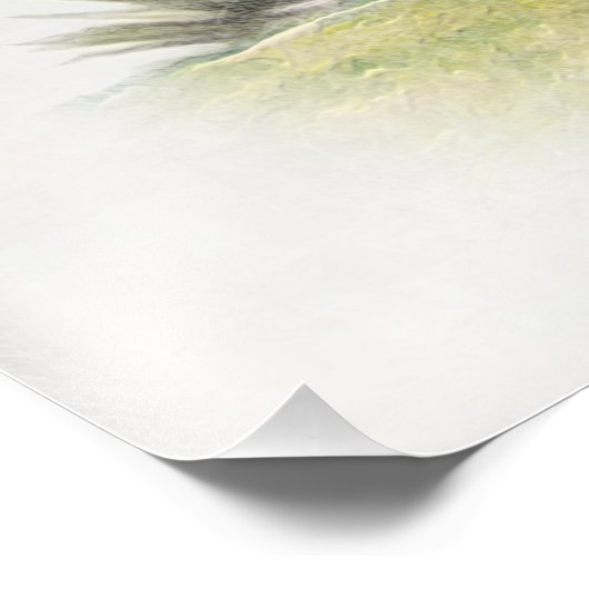 Der Boykin Spaniel Fotodruck (Ecke)