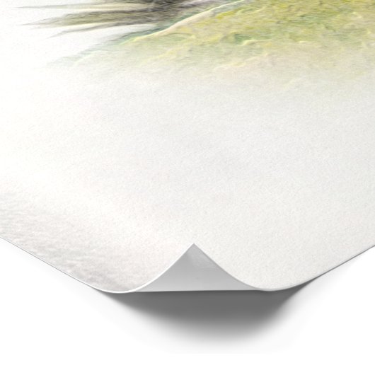 Der Boykin Spaniel Poster (Ecke)