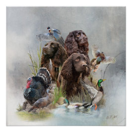 Der Boykin Spaniel Poster