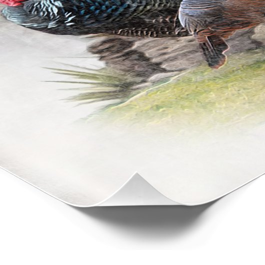 Der Boykin Spaniel Poster (Ecke)