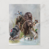 Der Boykin Spaniel Postkarte (Vorderseite)