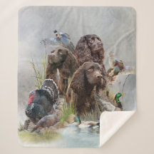 Der Boykin Spaniel